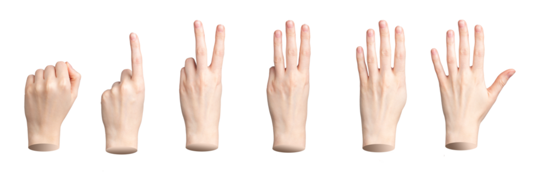 Hand showing fingers counting. One, two, three, four, five numbers isolated. Gestures for count, nonverbal communication, transparent PNG cutout