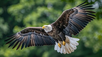 Obraz premium Eagle soaring over a Fourth of July parade, symbol of freedom, ultra-detailed, photorealistic, vibrant colors