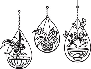 Black and white vector illustration of hanging potted houseplants.