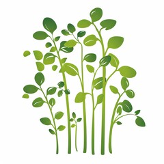 Obraz premium A close-up photo of several green microgreens growing on a white background. Generative AI
