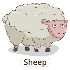 Sheep animal cartoon colorfil PNG illustration for children