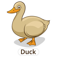 Duck animal cartoon colorful PNG illustration for children