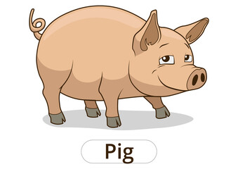 Pig animal cartoon colorful PNG illustration for children