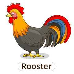 Rooster animal cartoon colorful PNG illustration for children