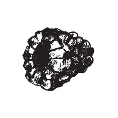 Raspberry symbol, raspberries illustration. Vector monochrome drawing of raspberries or blackberries drawn. Red berry icon for confectionery packaging. Blackberry sketch. Mulberry sign.