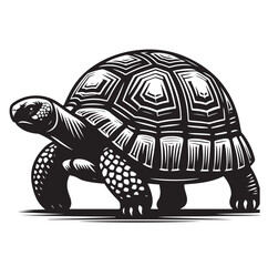 black vector illustration of a tortoise logo icon in silhouette. Perfect for branding, logos, or minimalist designs.