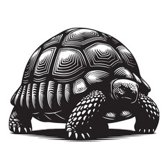 black vector illustration of a tortoise logo icon in silhouette. Perfect for branding, logos, or minimalist designs.