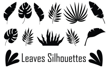 Silhouettes of different species of leaves, white background. A collection of various leaf silhouettes, perfect for nature-themed designs, botanical illustrations, and vector graphics. Editable EPS 10