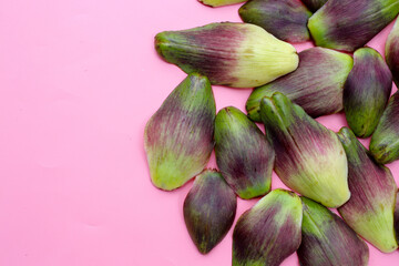 Fresh green purple artichoke petals