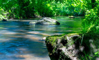 Naklejka premium Picturesque landscape of green forest and flow of small river