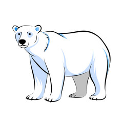 Fototapeta premium minimalist vector illustration of a polar bear standing