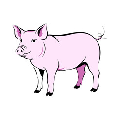 Fototapeta premium simple and cute vector illustration of a pink pig standing.