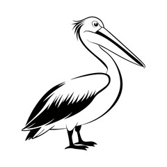 Fototapeta premium vector illustration of a pelican standing with a long beak.