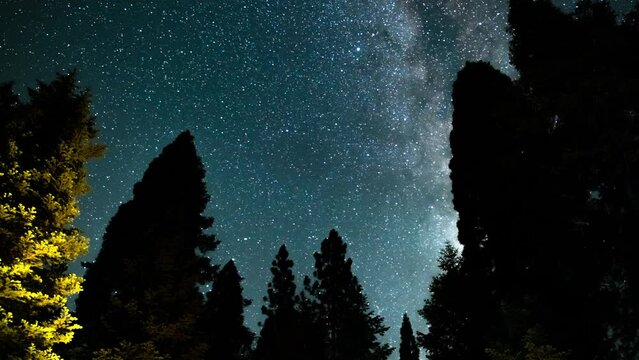 Sequoia National Park Milky Way Galaxy in South Sky Perseid Meteor Shower Pan R Sierra Nevada Mountains California USA