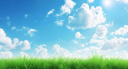 Obraz premium césped verde y cielo azul 