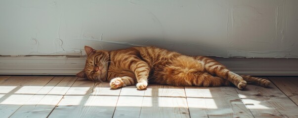 A peaceful ginger cat sleeps with a relaxed posture on a wooden floor with sunlight casting in the room.