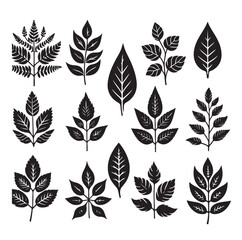 Leaf collection - vector silhouette