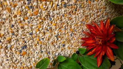 texture, stone, pattern, wall, stones, brown, rock, textured, design, wallpaper, material, detail