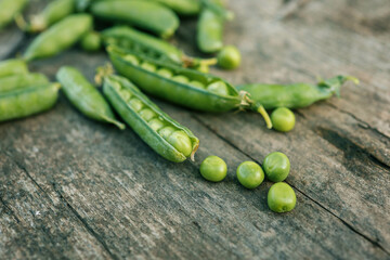 Green Peas. Green background. Green pea top view copy space. Fresh organic green peas. Vegetable harvesting. Beautiful close up of fresh peas and pea pods. Healthy vegetarian food