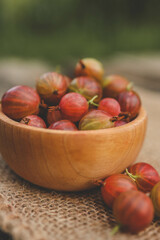 Ripe gooseberry in a wooden plate on nature