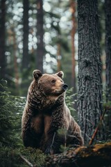 bear in the forest copy space Generative AI
