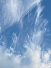 cirrus clouds in the blue sky 