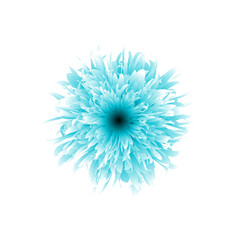 blue flower on white background