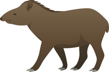 Color vector illustration of tapir side view. Wild animal isolated on white background. Large, herbivorous mammal. Jungle, tropical, exotic wildlife.