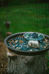 Bee and Pollinator Watering Station