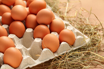 Eggs in carton box with hay on beige background