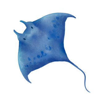 Illustration Raie Manta, fait main,  poster affiche, fichier png, d&eacute;coration, stickers png, fond transparent