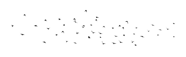 Flying birds silhouette flock. hand drawing. Not AI,  Vector illustration