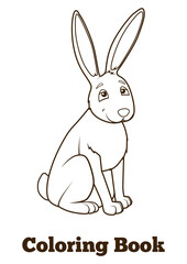 Forest animal hare cartoon coloring book for children PNG illustration