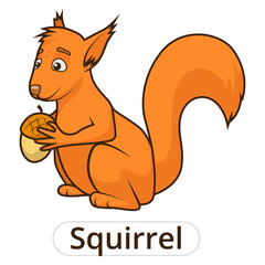 Forest animal squirrel cartoon for children PNG illustration