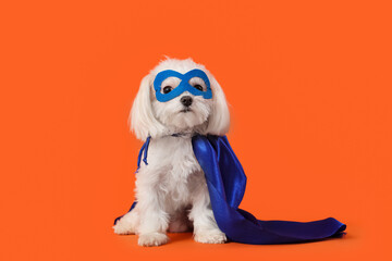 Cute little dog in superhero costume on orange background © Pixel-Shot