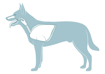 Respiratory system of the dog  medical veterinary PNG illustration