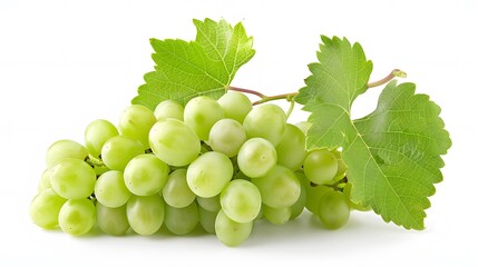 Obraz premium Green grape with leaves isolated on white. With clipping path. Full depth of field. 