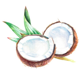 Watercolor of fresh coconut halves with tropical leaves, perfect for a summer and exotic vibe
