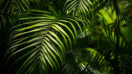 The leaves of the swaying palm tree : Generative AI