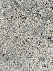 小さな貝殻や石の混ざった砂の地面