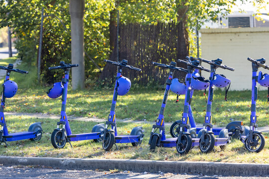 Purple e-scooters lined up in street for public use