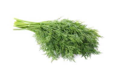 Fresh green dill branches isolated on white