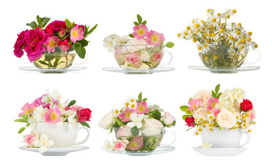 Delicious herbal tea in cups and beautiful flowers on white background, set