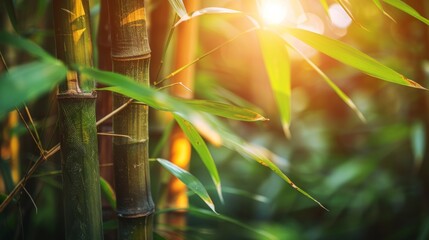Detailed view of vibrant green bamboo stalks highlighting their exquisite texture and natural beauty