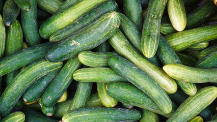 Pile of green cucumbers. Top view. Focus selected