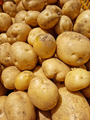 Fresh potatoes on the farm.