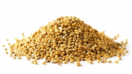 Coriander Seeds on White Background, Generative AI
