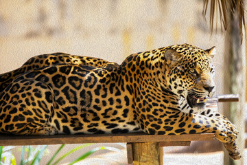 Beautiful Brazilian wild jaguar with oil painting effect