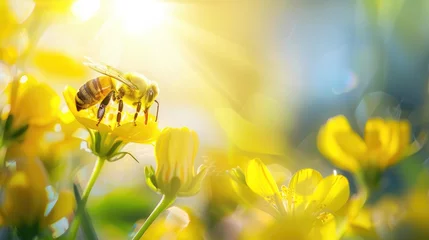 Handdoek met foto Geel Bee and flower. Close up of a large striped bee collects honey on a yellow flower on a Sunny bright day. Macro horizontal photography. Summer and spring backgrounds  © Achmad Khoeron