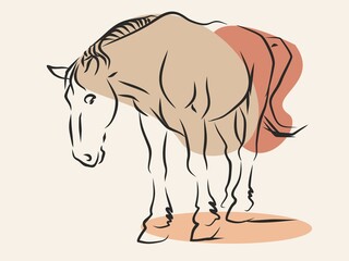 Horse. Sketch of a domestic animal. Graphic drawing of a horse